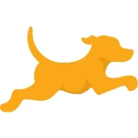 Fetch Rewards