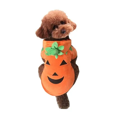 Pumpkin costume for dogs and cats